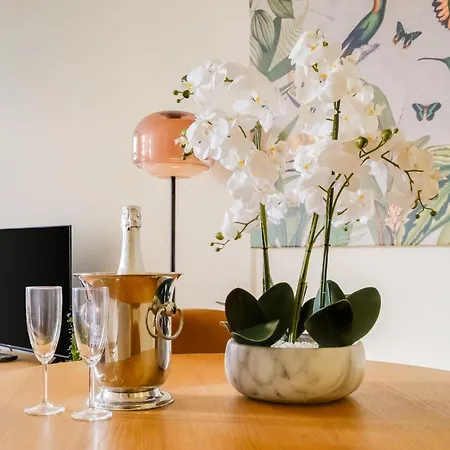 Magnolia 3 Luxury With Ac Metro Downtown Апартаменты Порту